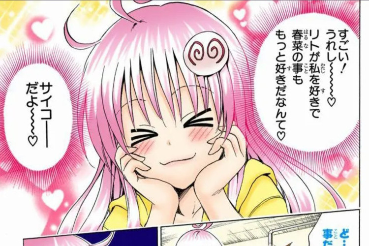 漫画『To LOVEる-とらぶる-特別読切』第163話に関する新たな説、今、再び戻ってきたカップル