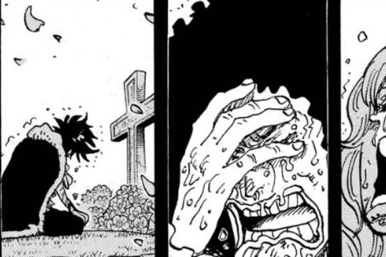 私を放っておいて！漫画「ワンピース」ONE PIECE 第1187話 ルフィが