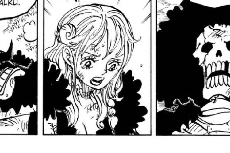 同じ顔をした人物！漫画「ワンピース」ONE PIECE 第1185話 ルフィが