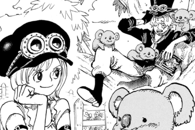 漫画raw ワンピース『ONE PIECE』 1176話 : ニドホグに関する理論