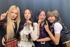 BLACKPINKの10周年、ファンは失望感を表明