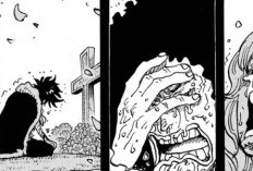 私を放っておいて！漫画「ワンピース」ONE PIECE 第1187話 ルフィが